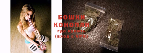 дурь Лабытнанги