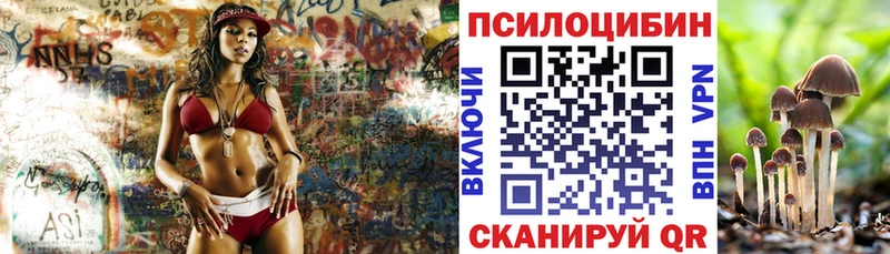 Псилоцибиновые грибы Psilocybine cubensis  Новоульяновск 